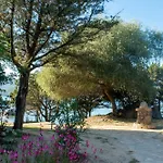 Stellamarina